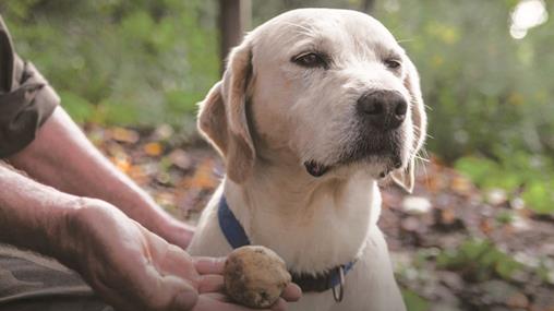 Image Related Product